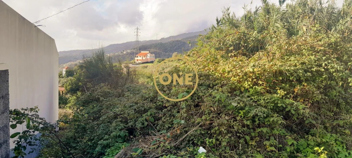 Terreno para Venda em Ribeira Brava Foto 9