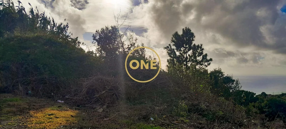 Terreno para Venda em Ribeira Brava Foto 3