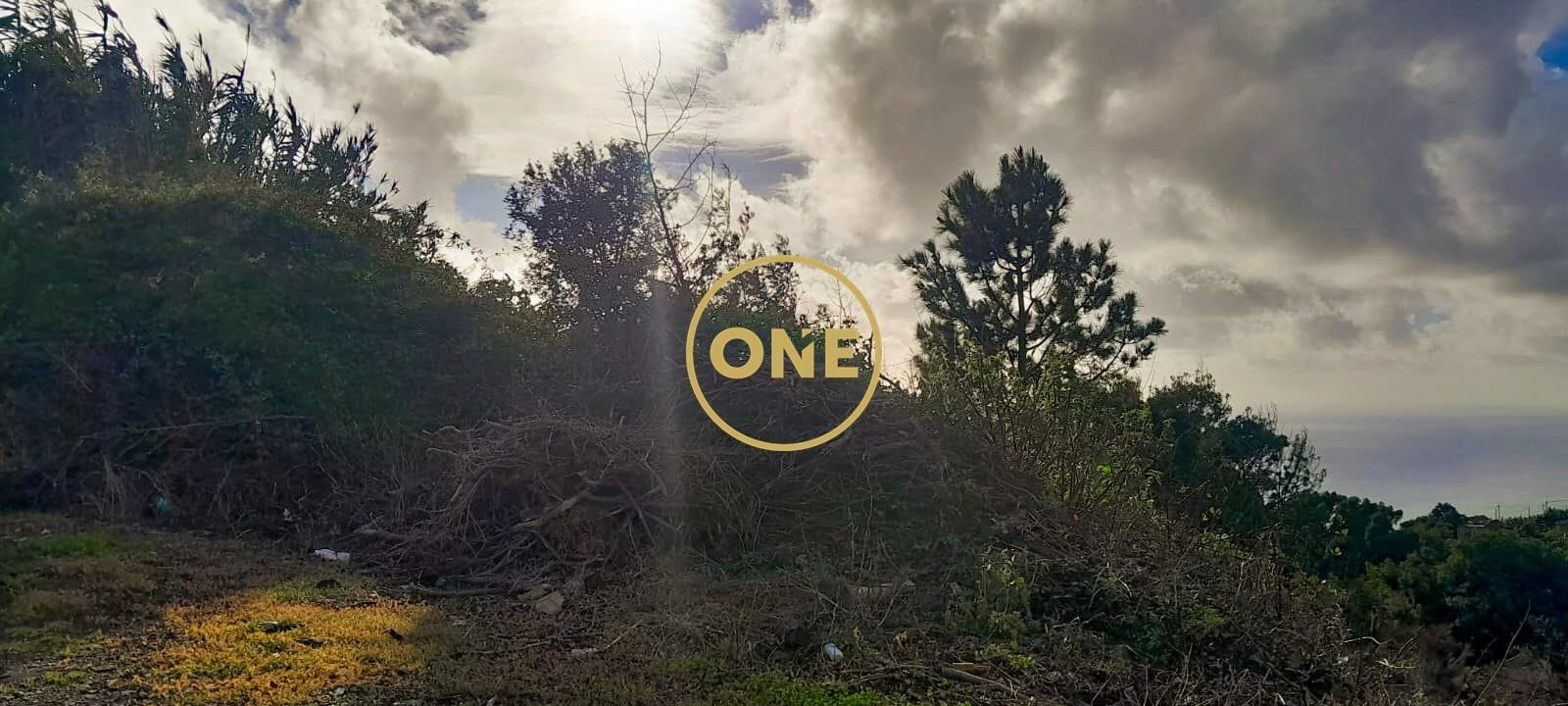 Terreno para Venda em Ribeira Brava Foto 3