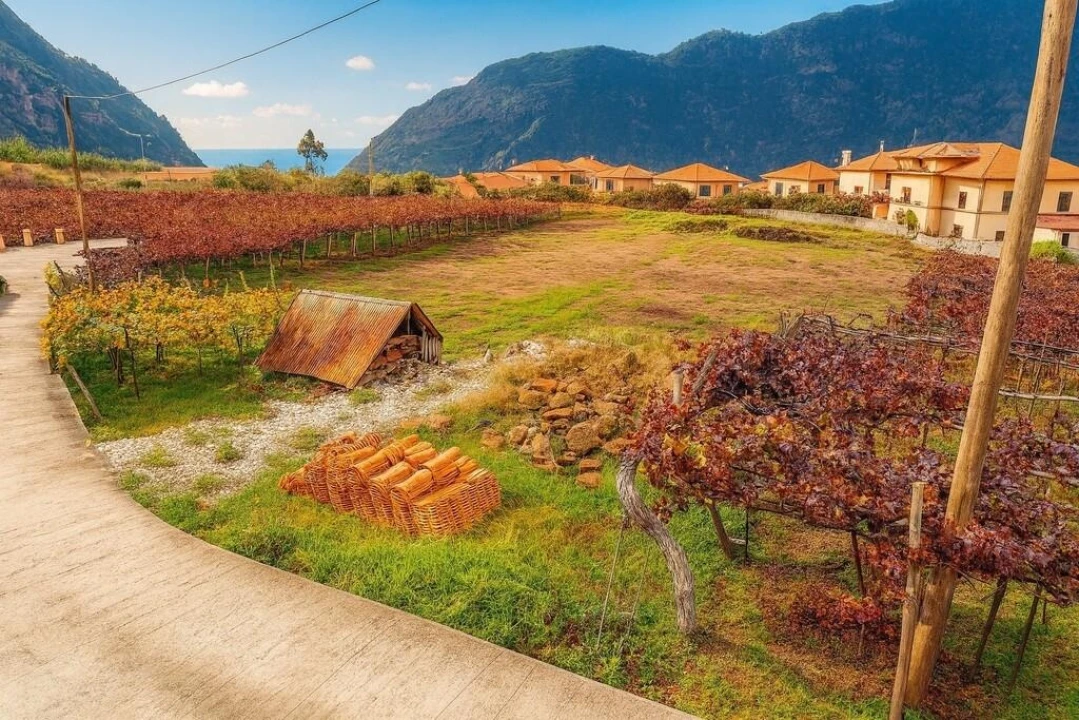 Terreno para Venda em São Vicente Foto 4