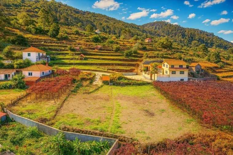 Terreno para Venda em São Vicente Foto 3