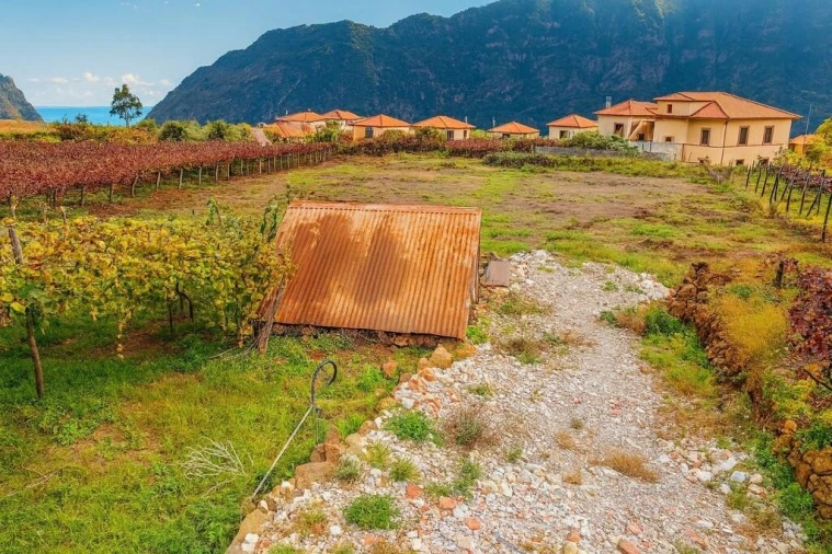 Terreno para Venda em São Vicente Foto 5