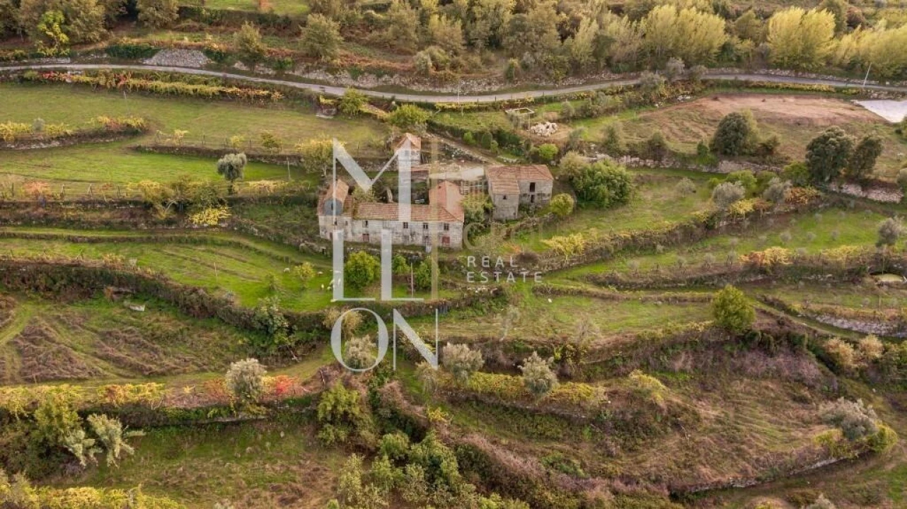 Quinta T4 para Venda em Anreade e São Romão de Aregos Foto 21