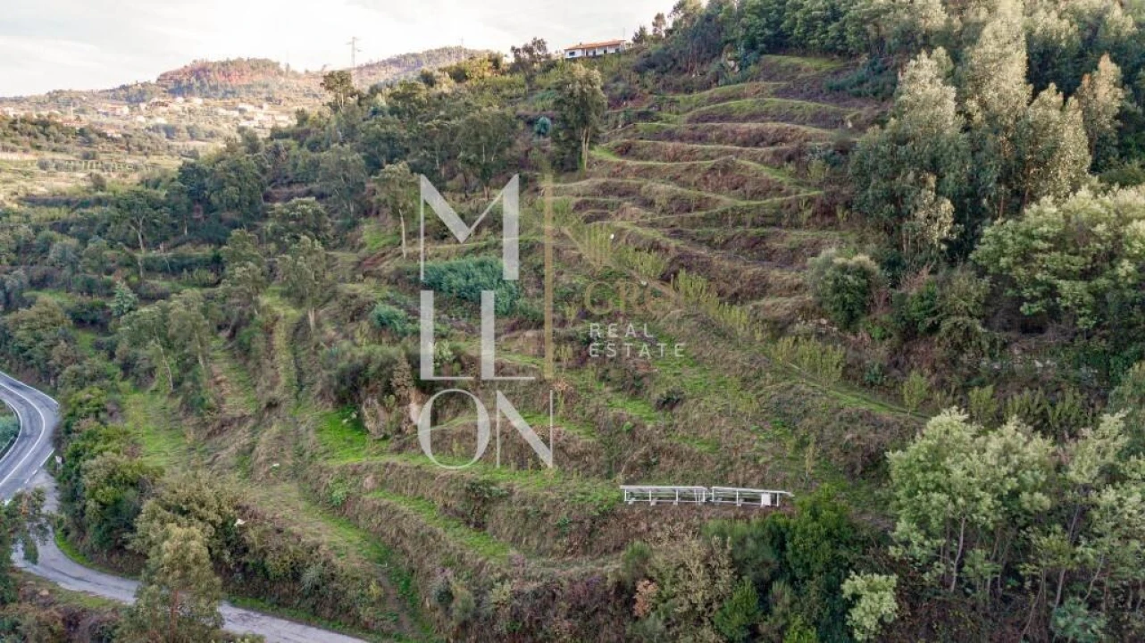 Quinta T4 para Venda em Anreade e São Romão de Aregos Foto 10