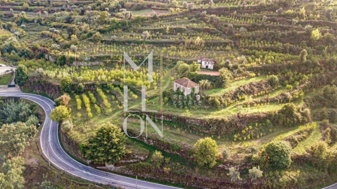 Quinta T4 para Venda em Anreade e São Romão de Aregos Foto 4