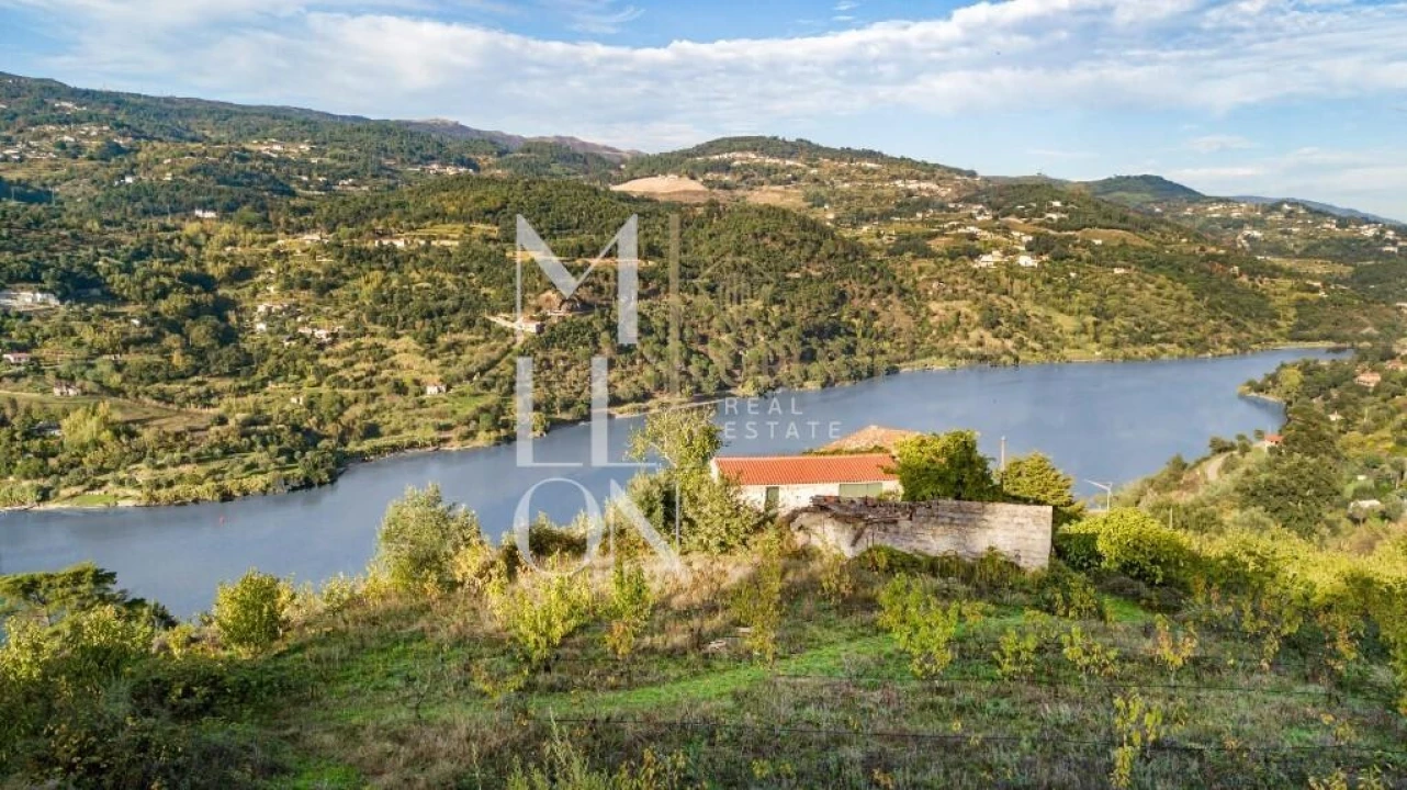 Quinta T4 para Venda em Anreade e São Romão de Aregos Foto 1