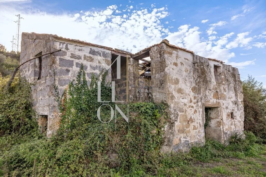 Quinta T4 para Venda em Anreade e São Romão de Aregos Foto 9