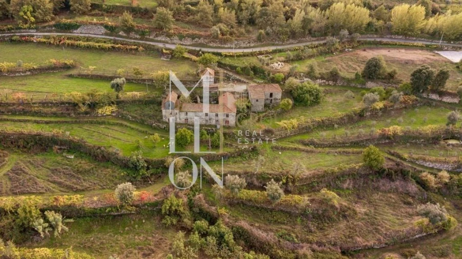 Quinta T4 para Venda em Anreade e São Romão de Aregos Foto 21