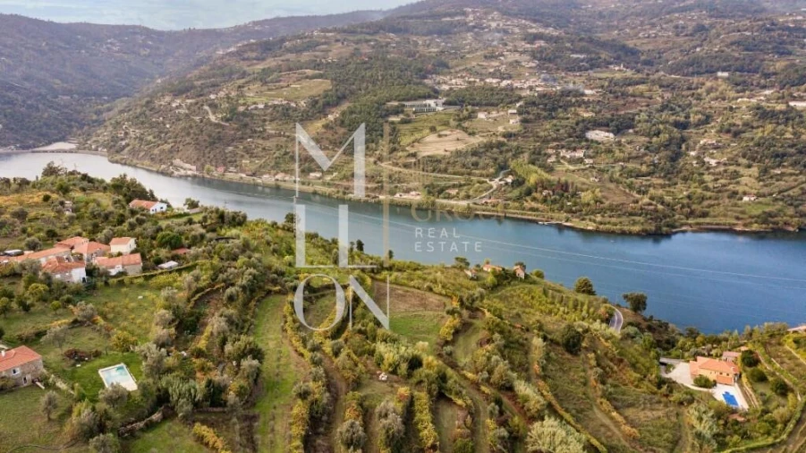 Quinta T4 para Venda em Anreade e São Romão de Aregos Foto 11