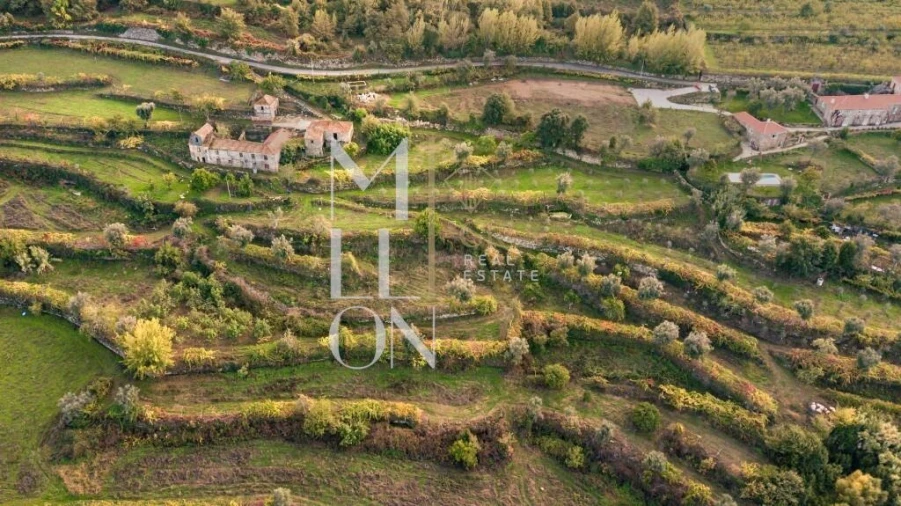 Quinta T4 para Venda em Anreade e São Romão de Aregos Foto 13