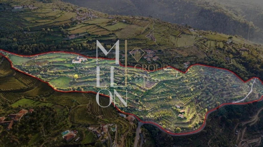 Quinta T4 para Venda em Anreade e São Romão de Aregos Foto 15