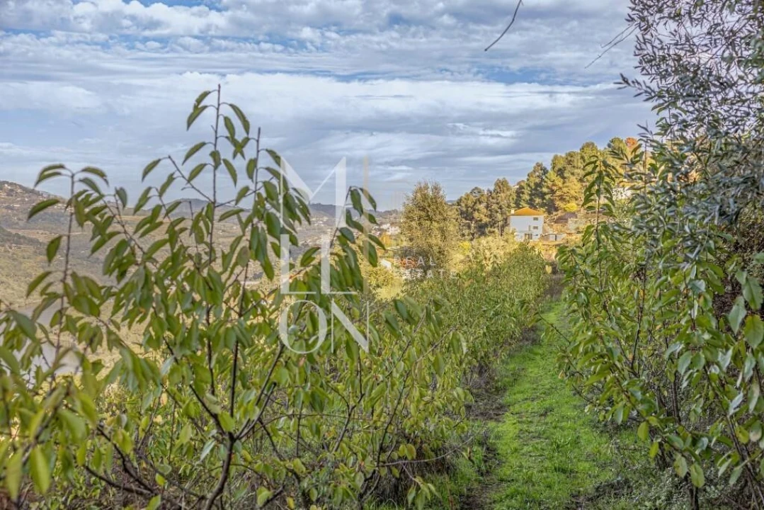 Quinta T4 para Venda em Anreade e São Romão de Aregos Foto 19