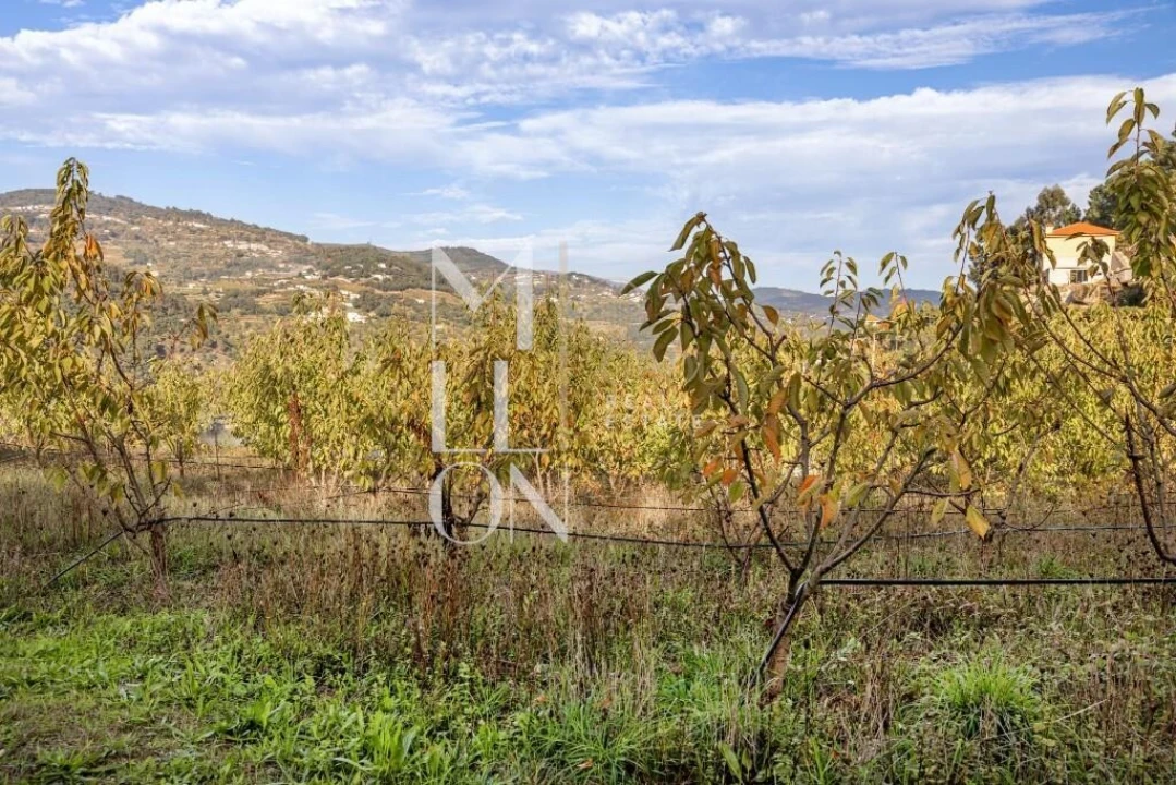 Quinta T4 para Venda em Anreade e São Romão de Aregos Foto 25