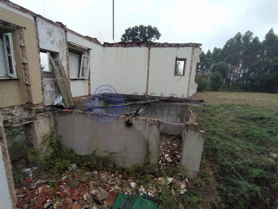 Terreno para Venda em Beco Foto 9