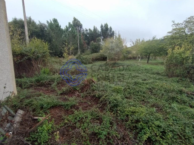 Moradia T3 para Venda em Beco Foto 5