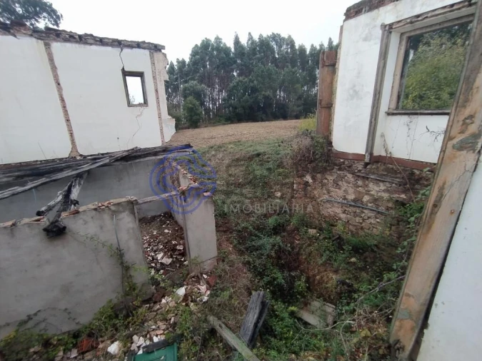 Moradia T3 para Venda em Beco Foto 6