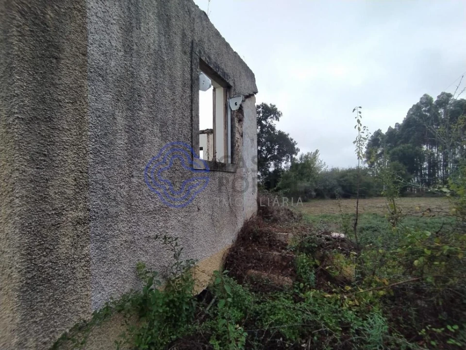 Terreno para Venda em Beco Foto 7