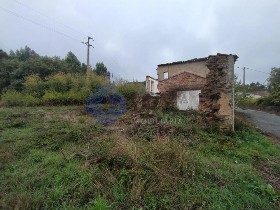 Terreno para Venda em Beco Foto 4
