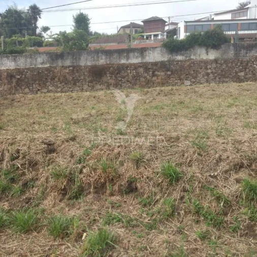 Terreno para Venda em Fiães Foto 2