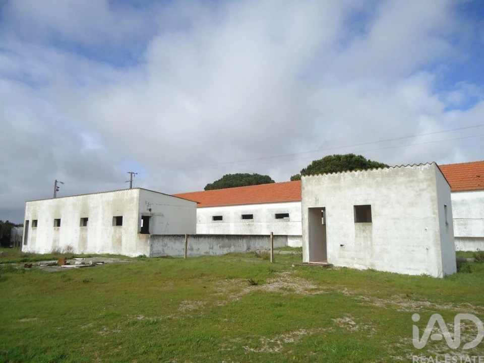 Terreno para Venda em Quinta do Anjo Foto 3
