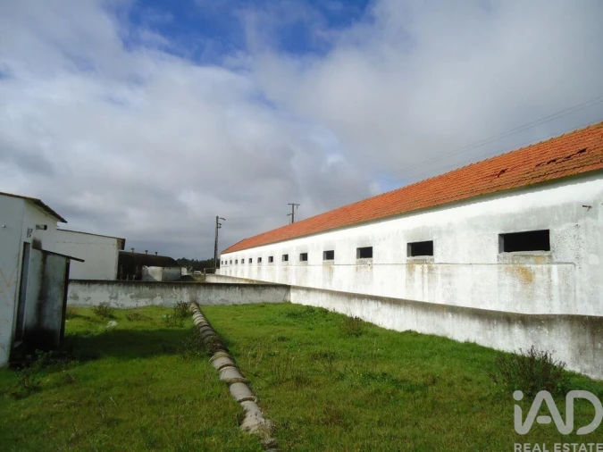 Terreno para Venda em Quinta do Anjo Foto 5