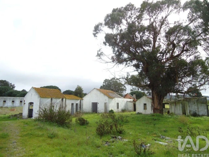 Terreno para Venda em Quinta do Anjo Foto 6