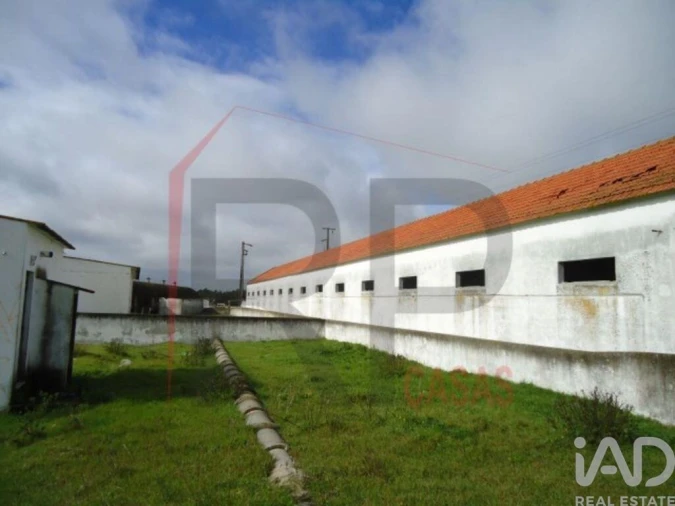 Terreno para Venda em Quinta do Anjo Foto 6