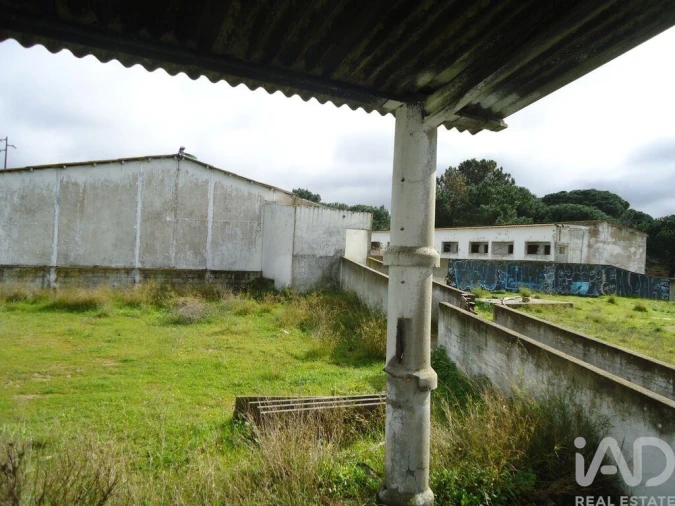 Terreno para Venda em Quinta do Anjo Foto 7
