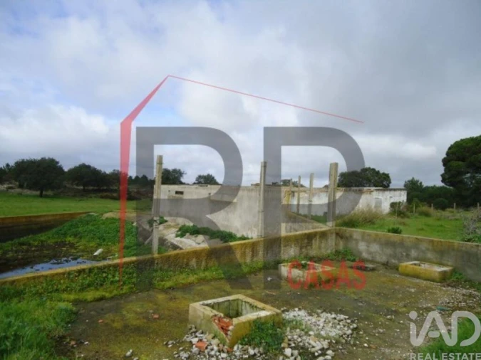 Terreno para Venda em Quinta do Anjo Foto 4