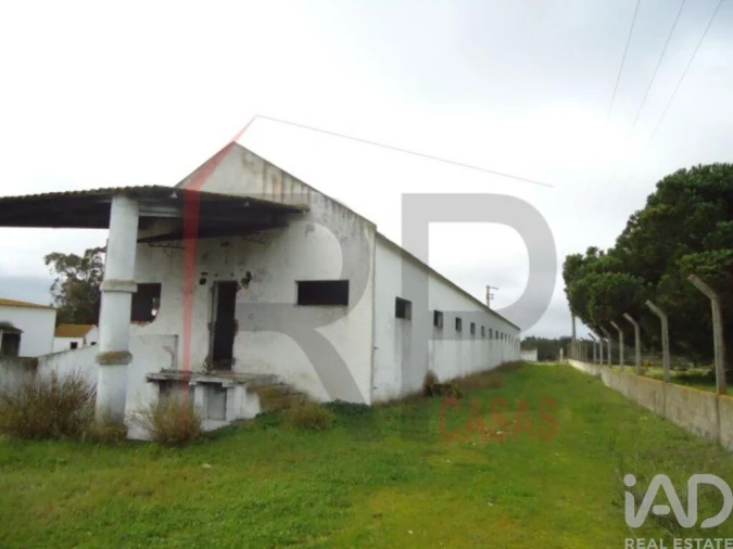 Terreno para Venda em Quinta do Anjo Foto 5