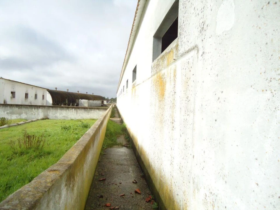 Terreno para Venda em Quinta do Anjo Foto 4