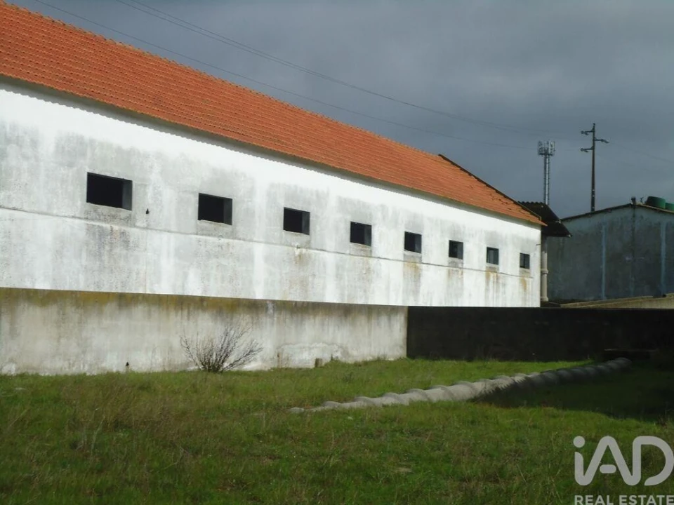 Terreno para Venda em Quinta do Anjo Foto 2