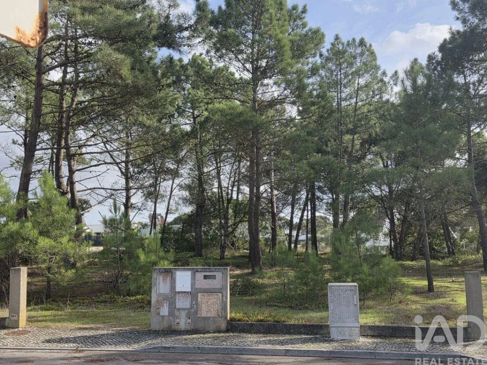 Terreno para Venda em Sesimbra (Castelo) Foto 3