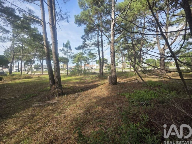 Terreno para Venda em Sesimbra (Castelo) Foto 8