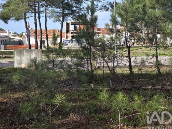 Terreno para Venda em Sesimbra (Castelo) Foto 9
