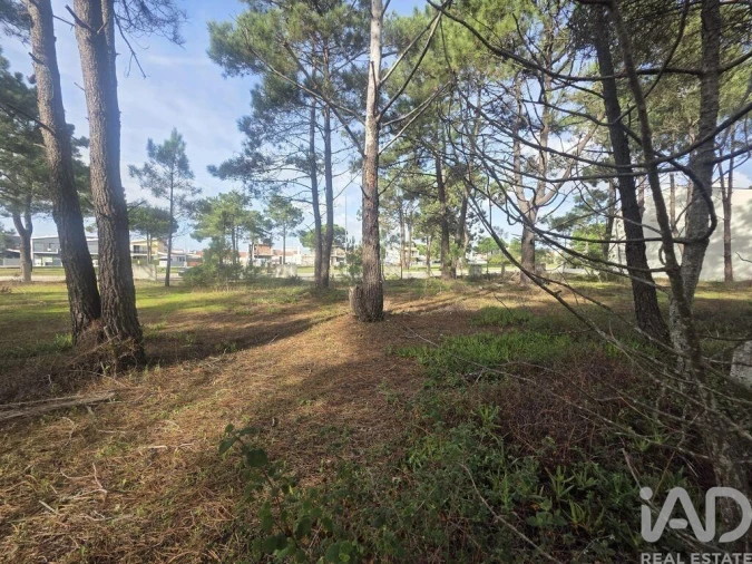 Terreno para Venda em Sesimbra (Castelo) Foto 6