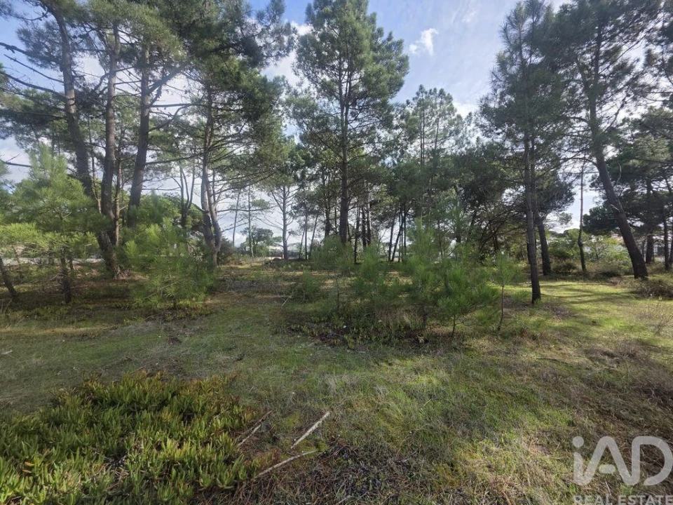 Terreno para Venda em Sesimbra (Castelo) Foto 7