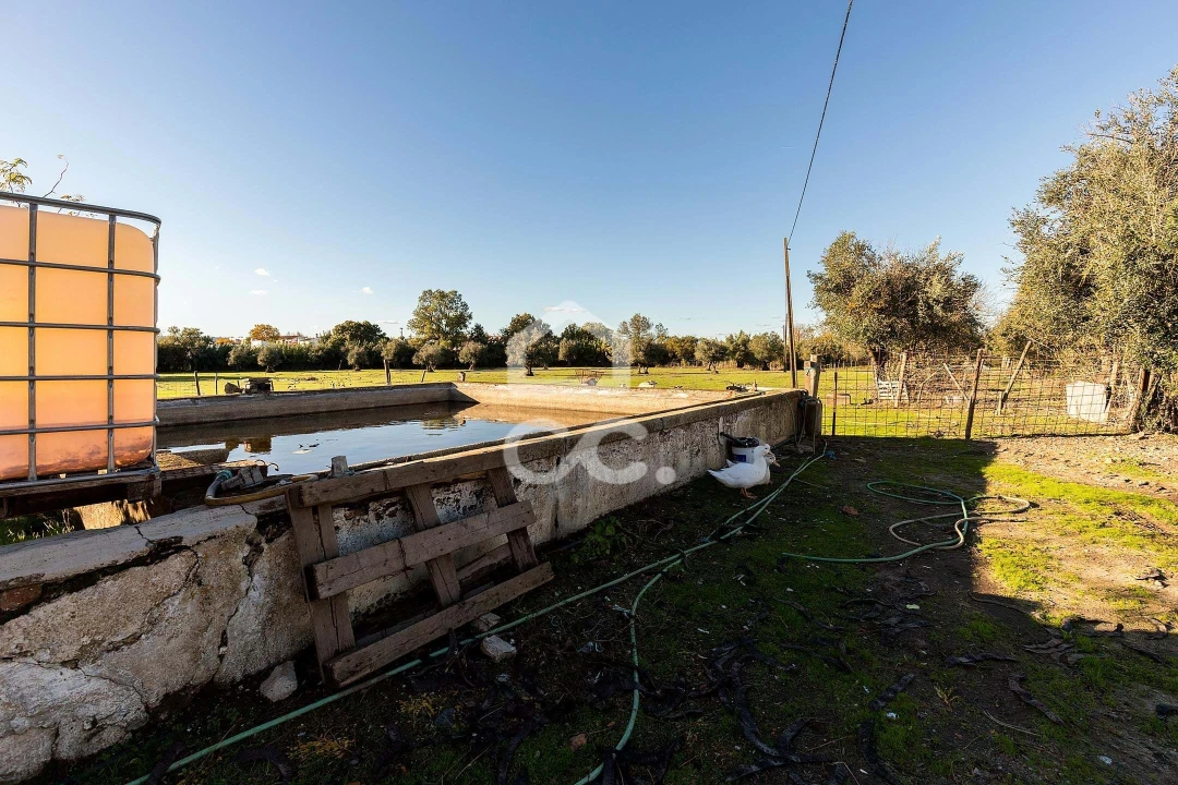 Quinta T7 para Venda em Bacelo e Senhora da Saúde Foto 39