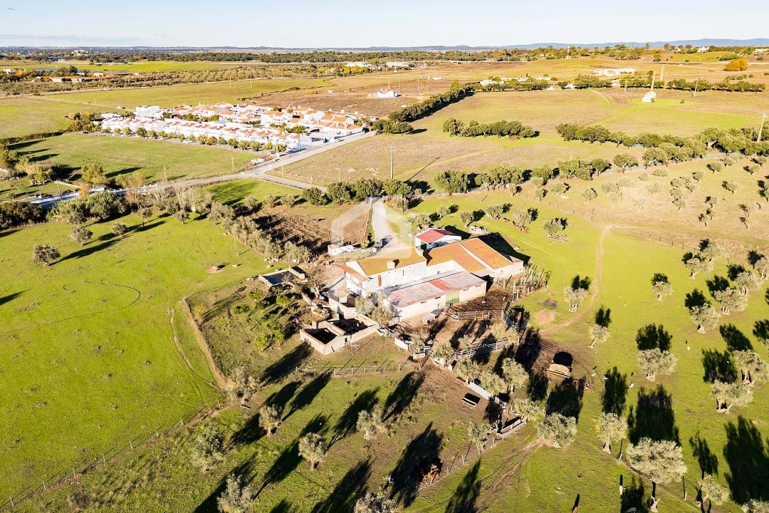 Quinta T7 para Venda em Bacelo e Senhora da Saúde Foto 50