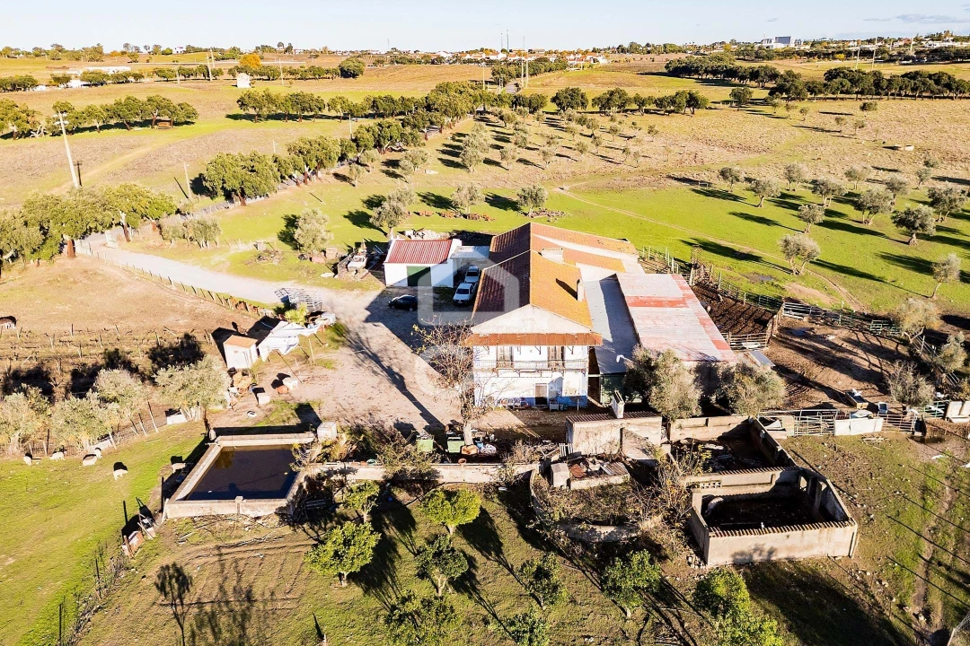 Quinta T7 para Venda em Bacelo e Senhora da Saúde Foto 43