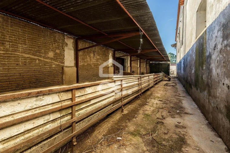 Quinta T7 para Venda em Bacelo e Senhora da Saúde Foto 29