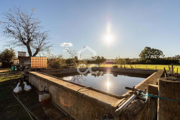 Quinta T7 para Venda em Bacelo e Senhora da Saúde Foto 8