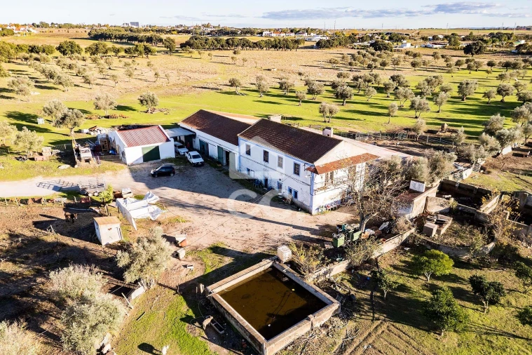 Quinta T7 para Venda em Bacelo e Senhora da Saúde Foto 1