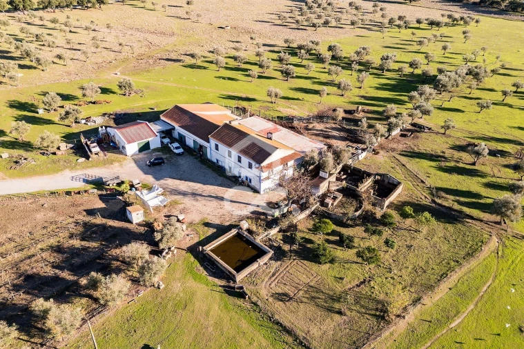 Quinta T7 para Venda em Bacelo e Senhora da Saúde Foto 3