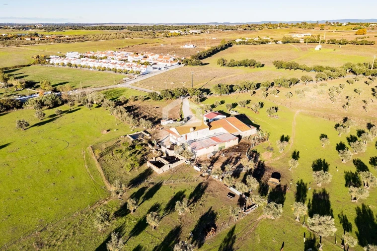 Quinta T7 para Venda em Bacelo e Senhora da Saúde Foto 50