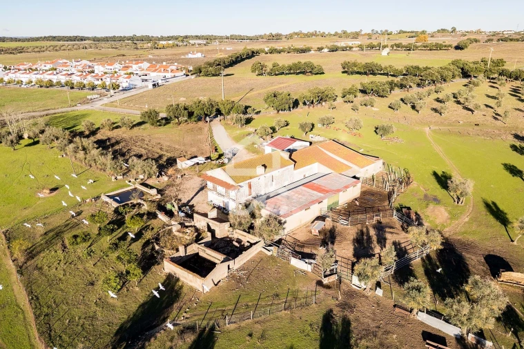 Quinta T7 para Venda em Bacelo e Senhora da Saúde Foto 49