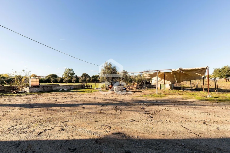Quinta T7 para Venda em Bacelo e Senhora da Saúde Foto 40