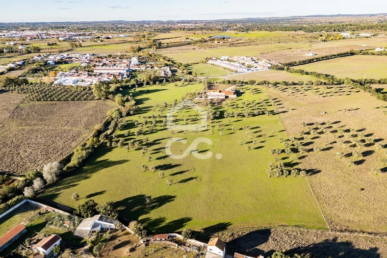 Quinta T7 para Venda em Bacelo e Senhora da Saúde Foto 59