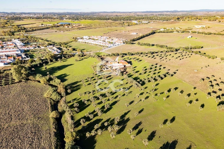 Quinta T7 para Venda em Bacelo e Senhora da Saúde Foto 61