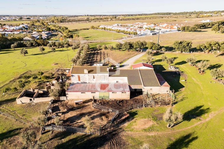 Quinta T7 para Venda em Bacelo e Senhora da Saúde Foto 48